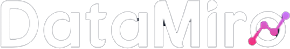DataMiro